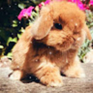 Meet your Posher, Shawna